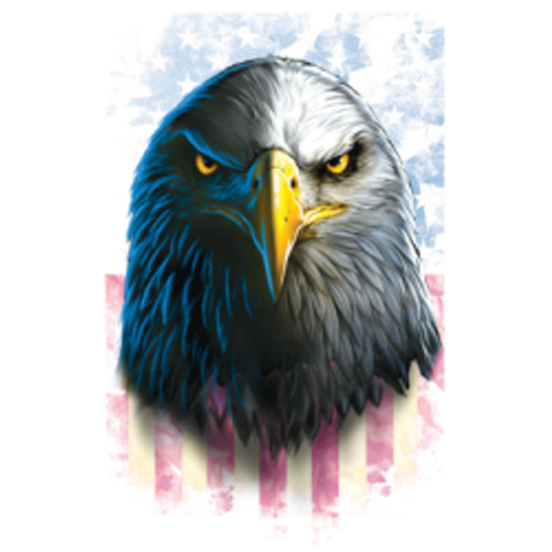 Adult DryBlend® T-Shirt - (EAGLE STARE -AMERICAN PRIDE)