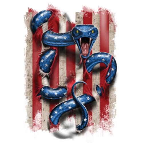 Adult DryBlend® T-Shirt - (AMERICAN SERPENT / SNAKE - AMERICAN PRIDE / 2ND AMENDMENT)