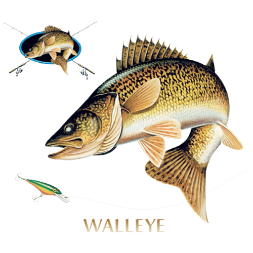 Adult DryBlend® T-Shirt - WALLEYE FISH W/CREST- FISHING AND HUNTING