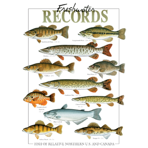 Adult DryBlend® T-Shirt - (FRESHWATER RECORDS - FISHING)