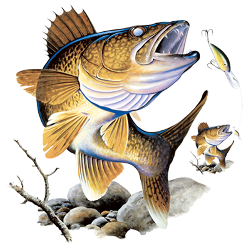 Adult DryBlend® T-Shirt - (WALLEYE 2 W/CREST - FISHING)