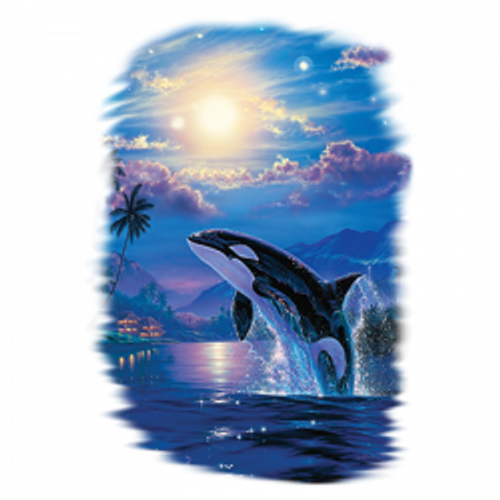 TRANSFER - ORCA whale JOYFUL time sealife resort beach nautical fun- adult