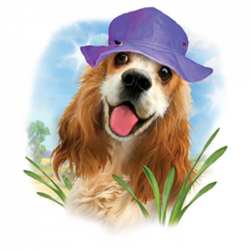 T-shirt small to 3xL - HAPPY SPRINGER spanial dog  - adult