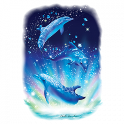 TRANSFER  -  DOLPHIN MAGIC sealife resort beach nautical fun- adult