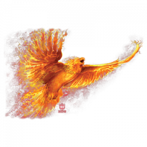 TRANSFER -PHEONIX RISING  - Bird FLaming Fun Adult