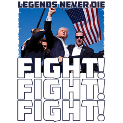 TRANSFER - TRUMP fight fight fight pop art - political