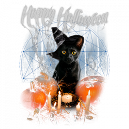 TRANSFER  - BLACK CAT WITCH - HAPPY HALLOWEEN SPOOKY FUN Adult