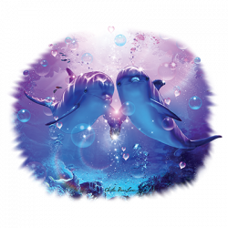 TRANSFER - DOLPHIN COMPANION