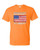 T-Shirt XL 2XL 3XL - AMERICA LAND OF OPPORTUNITY NOT EQUITY - PRIDE USA FLAG 2ND AMENDMENT Adult