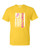 Adult DryBlend® T-Shirt - (SURVIVOR - BREAST CANCER AWARENESS)