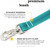 MORRIS daffodil - 1.00 inch dog leash -  high quality polyester american union made, fadeproof, made in USA