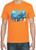 Adult DryBlend® T-Shirt - (DOLPHIN PLAY - AQUATIC)