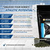 MetaSweat™+E Anhidrosis Pellets Highlights