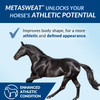 MetaSweat™ +E Performance and Anhidrosis Pellets