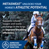 MetaSweat™ +E Performance and Anhidrosis Pellets