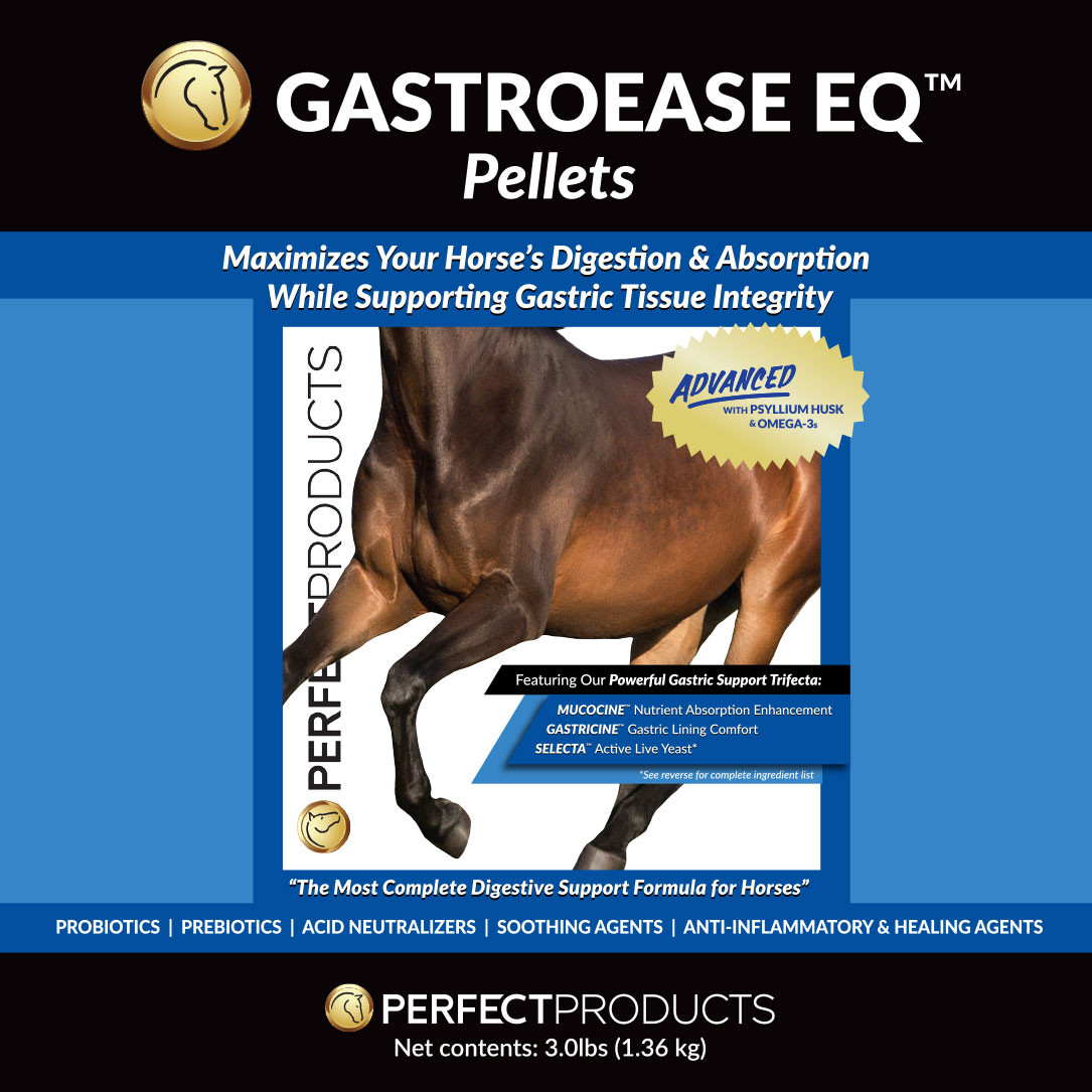 Forco Horse Digestive Supplement FORCO Digestive Fortifier 5lb Pellet ...