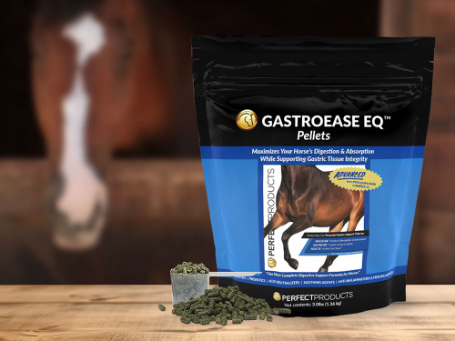 Introducing GastroEase EQ™ Advanced Pellets: A New Approach to Equine Digestive Health Introducing GastroEase EQ™ Advanced Pellets: A New Approach to Equine Digestive Health