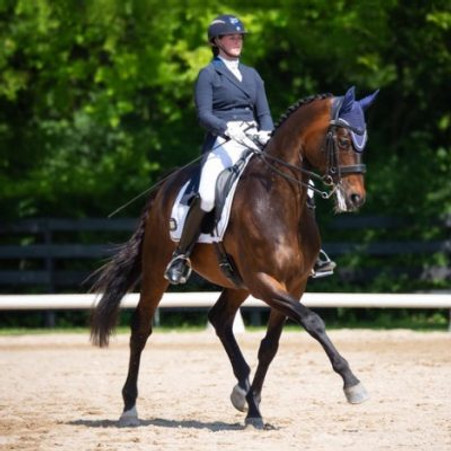 GastroPrep EQ Paste Credited for Dressage Star's "Incredible Change"
