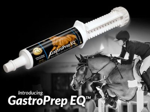 No Butterflies Allowed: How to Solve Gastric Nerves with GastroPrep EQ No Butterflies Allowed: How to Solve Gastric Nerves with GastroPrep EQ
