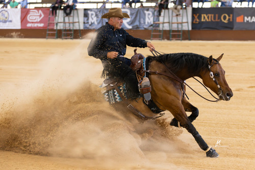 Maximize Any Performance Horse's Potential with These Top 5 Supplements