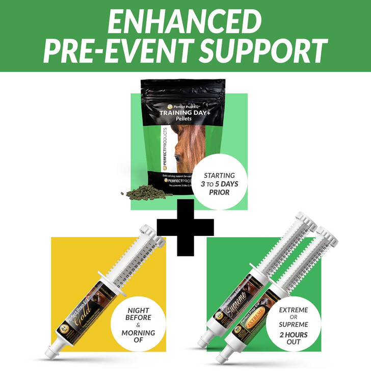 Support Graphic