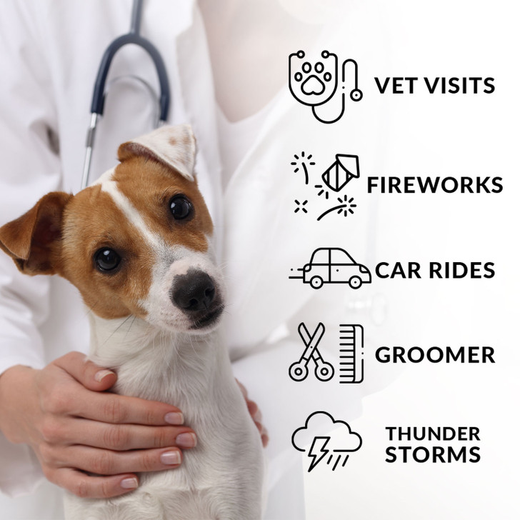 Perfect Prep PET™ Canine Calming applications