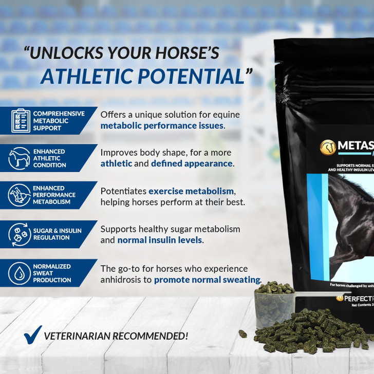 MetaSweat™+E Anhidrosis Pellets Highlights