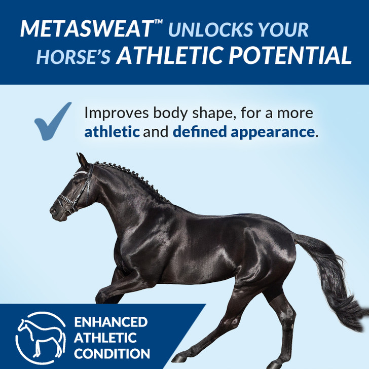 MetaSweat™ +E Performance and Anhidrosis Pellets