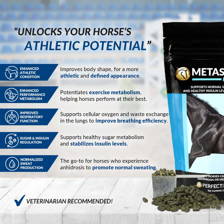 MetaSweat™+E Anhidrosis Pellets Highlights