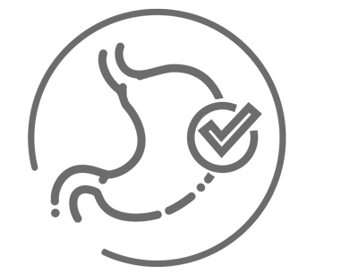 equine gastric lining icon