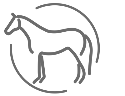 equine stomach and hindgut support icon