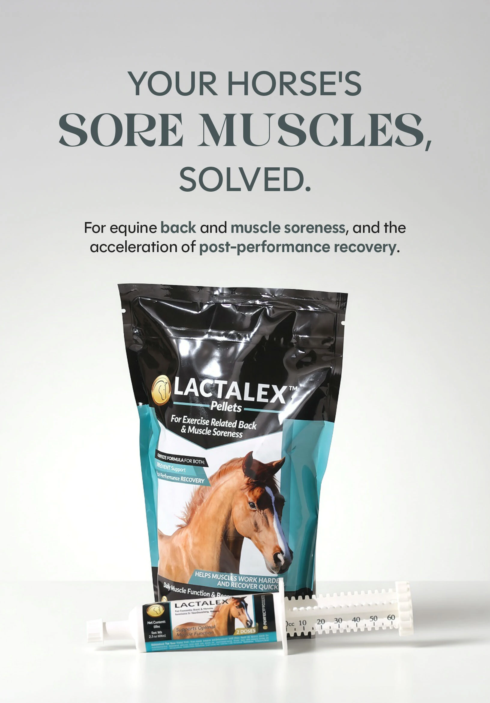 Background Image Lactalex for Horses
