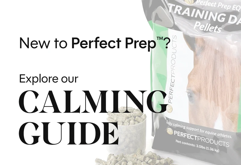 Calming Info Guide