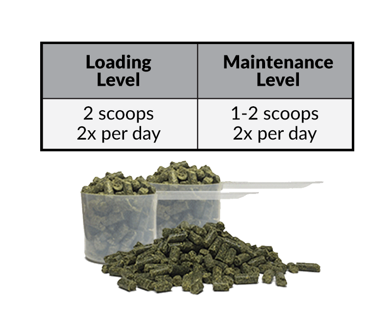 Description of image