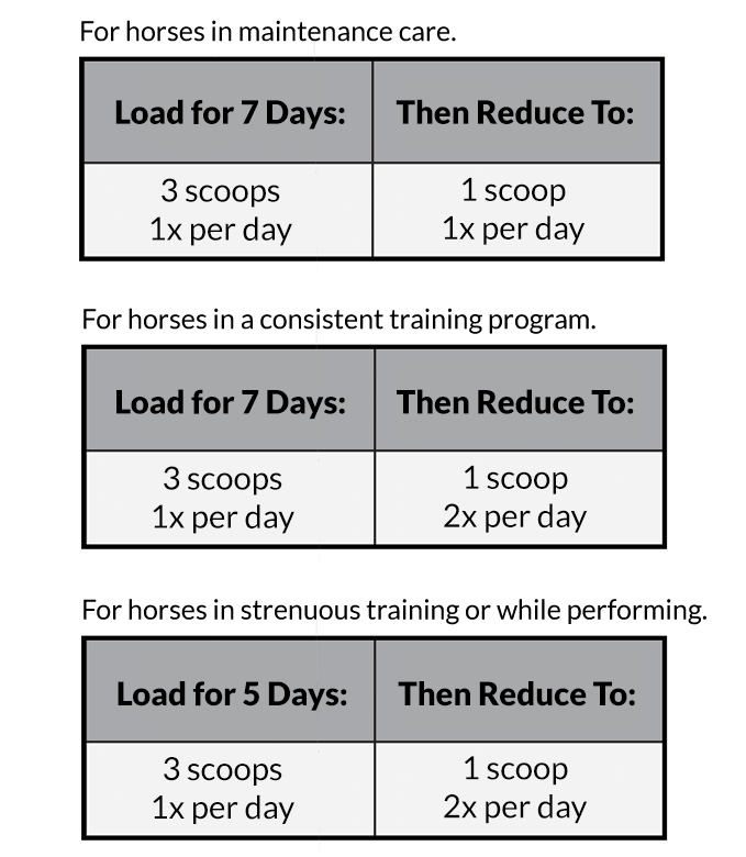 Joint Impact loading chart