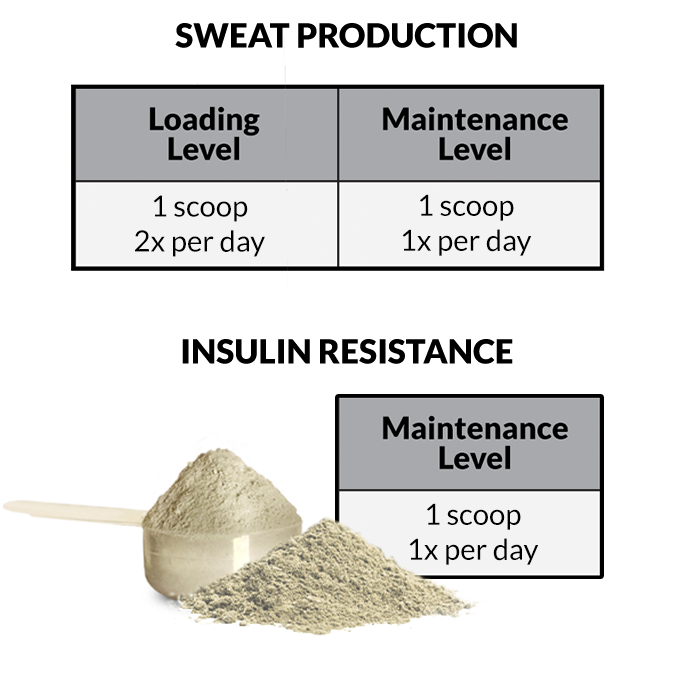 Metasweat loading chart