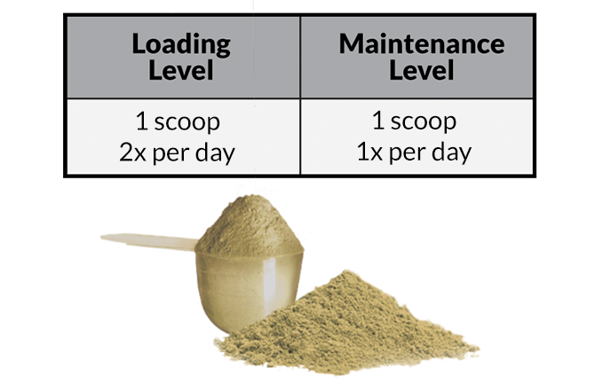 ProtEQtor powder loading chart