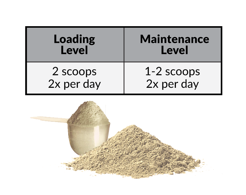 Perfect Prep Training Day Powder loading chart