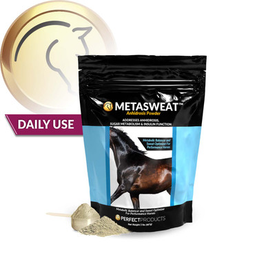 MetaSweat™ Powder for Equine Anhidrosis | Perfect Products EQ MetaSweat™ Powder for Equine Anhidrosis | Perfect Products EQ