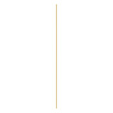 Emma Gold Large Full Length Rectangle Wall Mirror 170x50cm - Emma Rectangel Mirror-Gold-3 (7).jpg