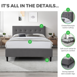 Lotus Grey Velvet Double Bed Frame - Lotus-Info-Double-1.png