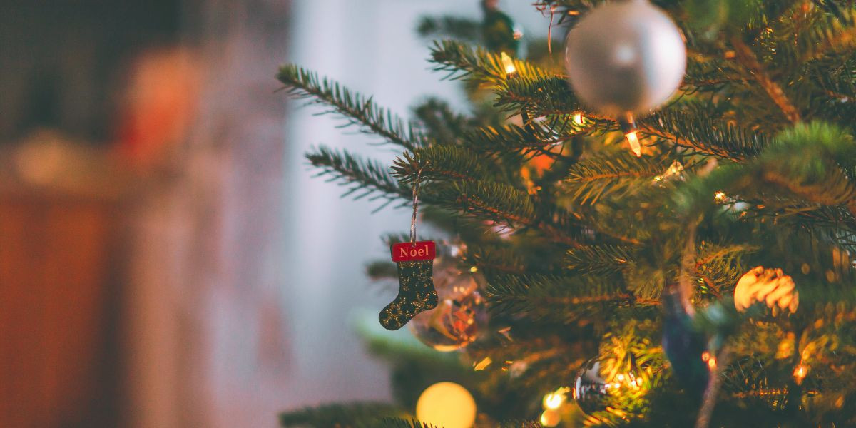 How to put up a christmas tree in a stand