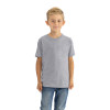 Next Level 3310 Youth Boys' Premium Crew Tee | Heather Grey
