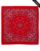 Clearance - Valucap VC21 ValuMask Bandana | Red Paisley