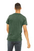 Bella+Canvas 3413 Tri-Blend Short Sleeve | Grass Green Triblend