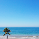 Office Closure: Friday January 17th 