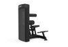 10-7786 Fabrication Enterprises, Inc. Spirit Dual, CSD-ACBE Ab Crunch/Back Extension