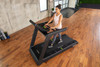 10-6860 Fabrication Enterprises, Inc. SportsArt T673 Prime Eco-Natural Treadmill