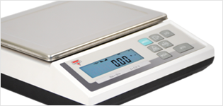 General Purpose Scales