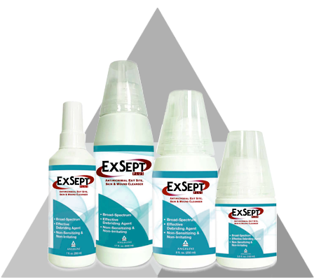 Angelini Pharma 15108 ExSept Plus 250ml, 24/CS